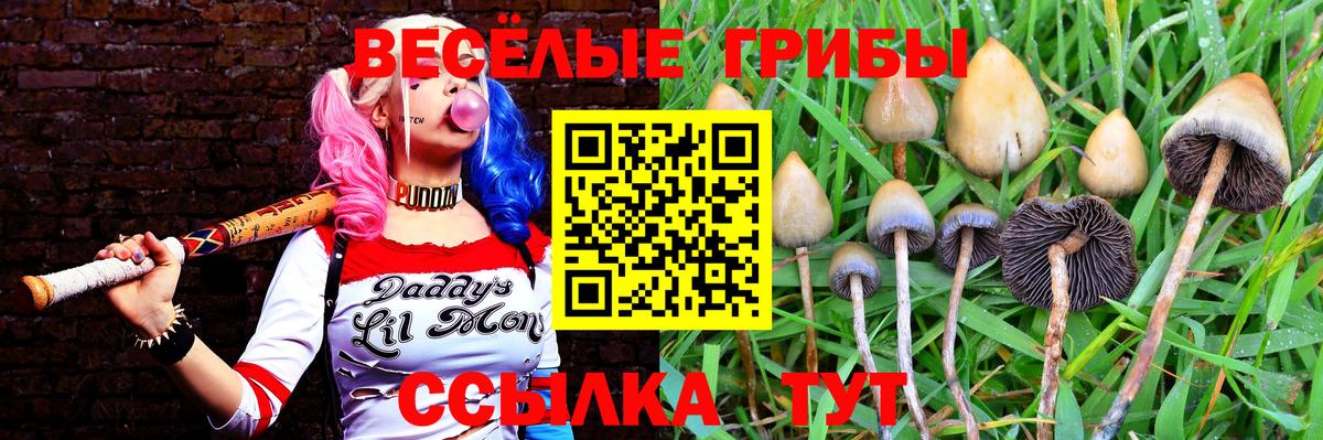 купить наркотик  Псилоцибиновые грибы Psilocybe  Вход с VPN  Псилоцибиновые грибы прущие грибы  Ишим 