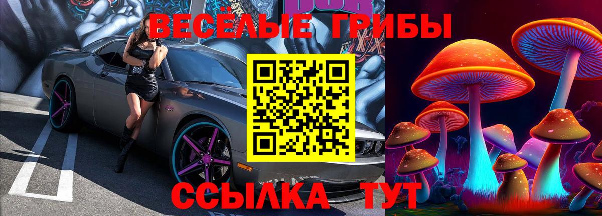 Псилоцибиновые грибы Psilocybe Ишим